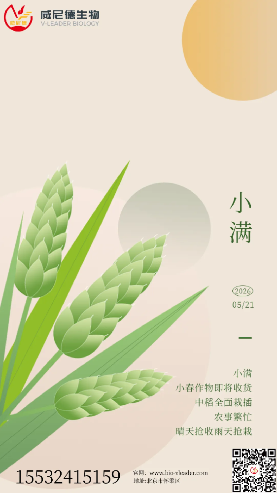 小满未满，科研正盛 | 威尼德陪您在生命科学的麦田里，收获实验的